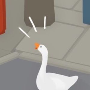 Meet your Posher, Ann